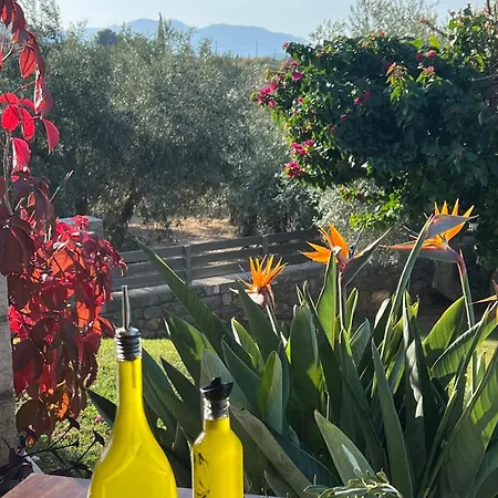 Olivias Holiday home Drosia (Central Greece)